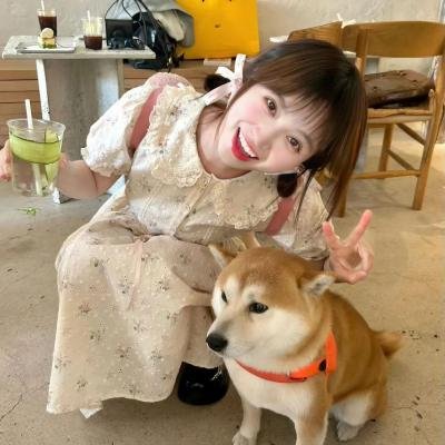 有趣的小兔子