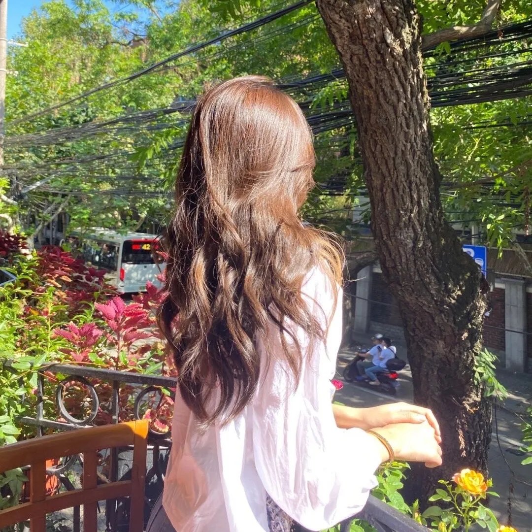 凶鳄